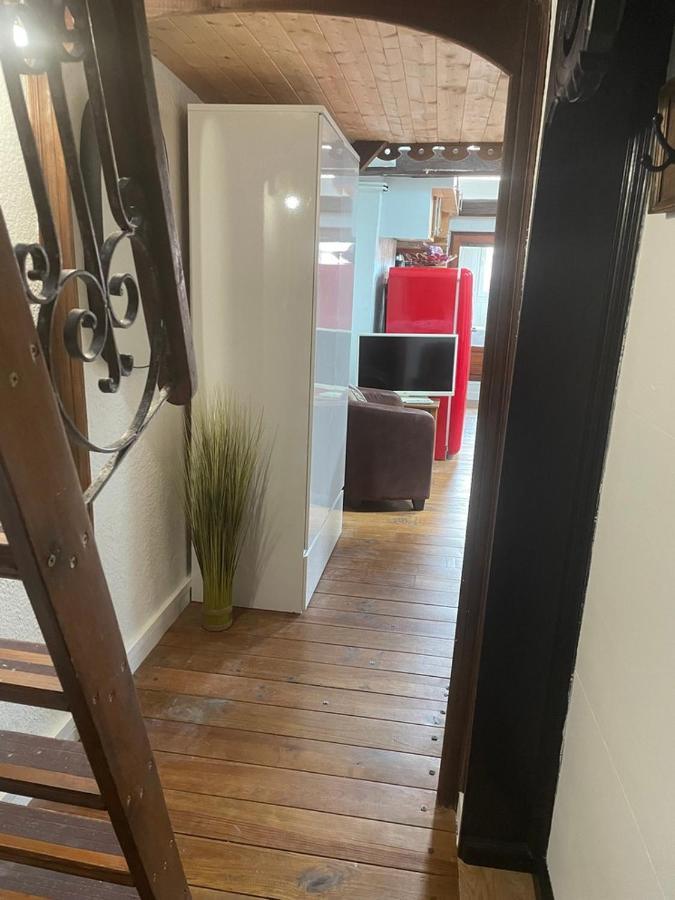 Appartement Plein De Charme - Coeur Vieille Ville Annecy Dış mekan fotoğraf