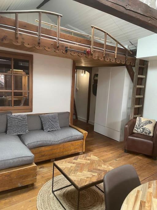 Appartement Plein De Charme - Coeur Vieille Ville Annecy Dış mekan fotoğraf