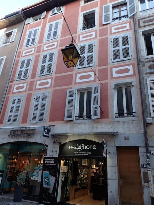 Appartement Plein De Charme - Coeur Vieille Ville Annecy Dış mekan fotoğraf
