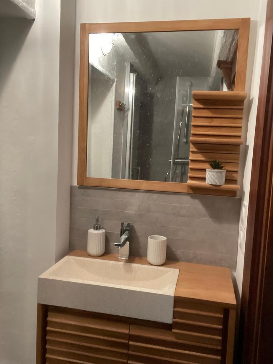 Appartement Plein De Charme - Coeur Vieille Ville Annecy Dış mekan fotoğraf